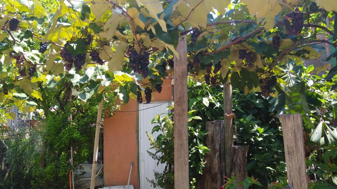 Revoada Dos Papagaios Homestay Florianopolis