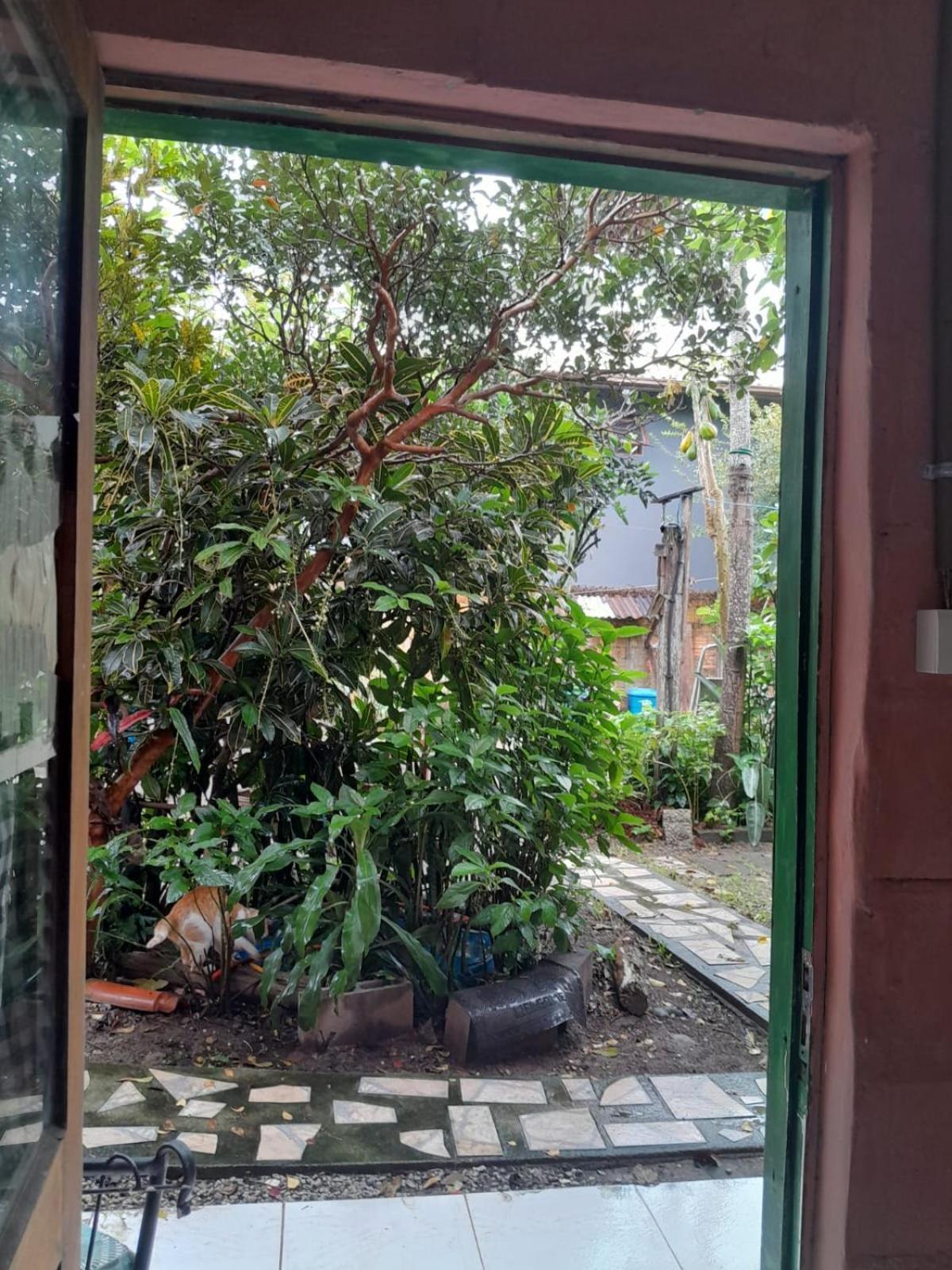 Revoada Dos Papagaios Homestay *